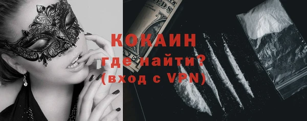 не бодяженный Алексин