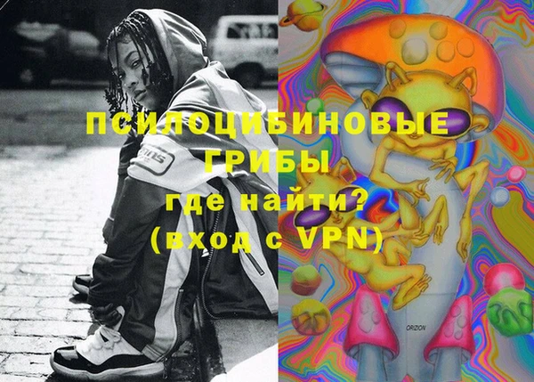 не бодяженный Алексин