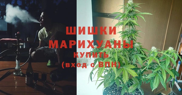 spice Алексеевка