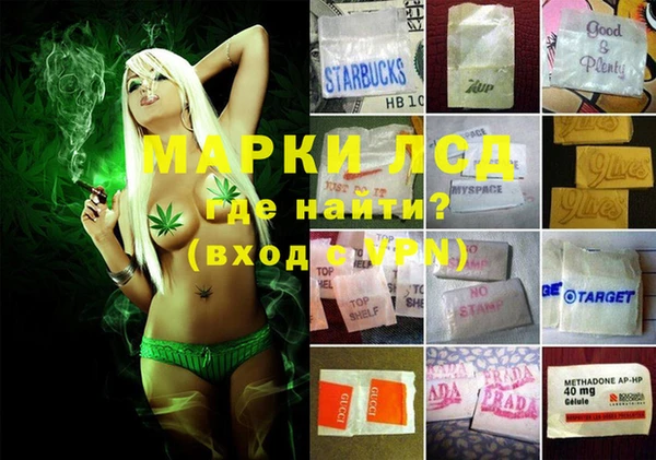 spice Алексеевка