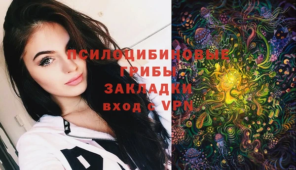 не бодяженный Алексин